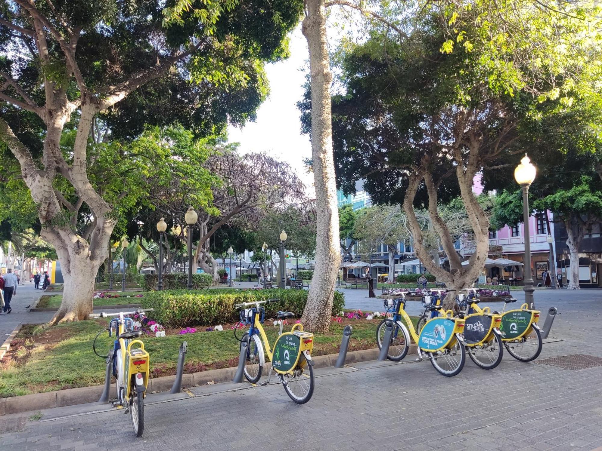 Apartamento Brisa Marina Las Palmas de Gran Canaria Dış mekan fotoğraf